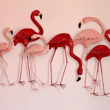 Flamingo's House Apartment