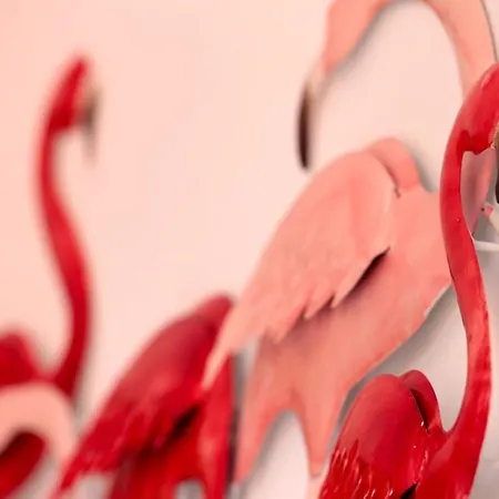 Flamingo's House