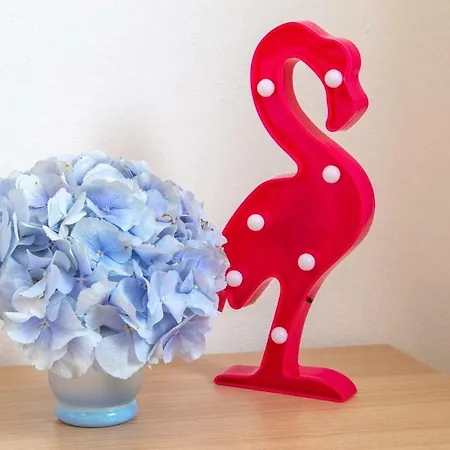 Flamingo's House Appartamento *